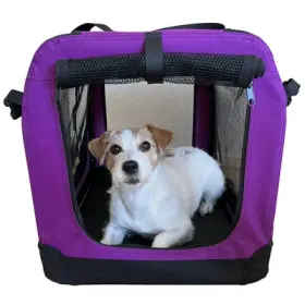 PetEasy x VetZoo Transportbur Lilla