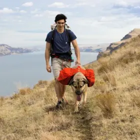 Ruffwear Palisades Kløveveske Rød