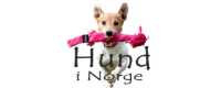 Hund i Norge Logo