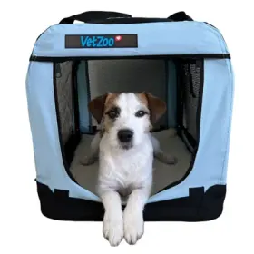 PetEasy x VetZoo Transportbur Lyseblå